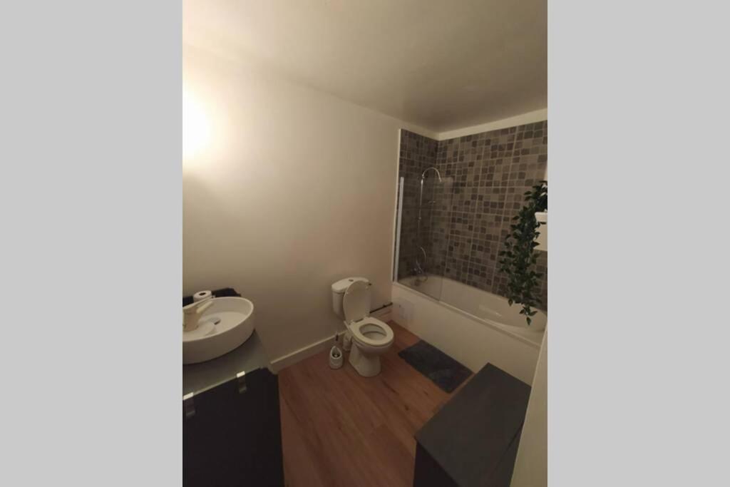 Appartement T2 Cosy Et Chaleureux - 40Mn De Rennes Plumaugat Экстерьер фото
